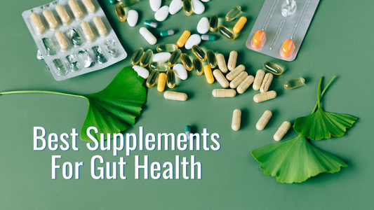 Best Supplements For Gut Health
