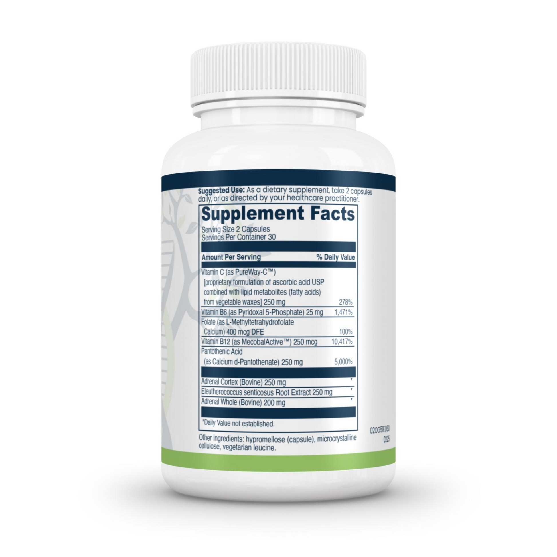 Adrenal Support Complex Evexias Health Solutions Ingredients