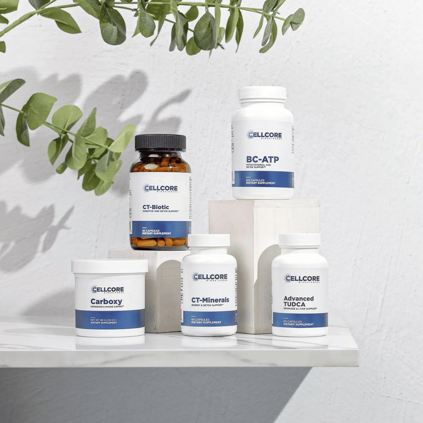 Advanced MYC CellCore Bottles