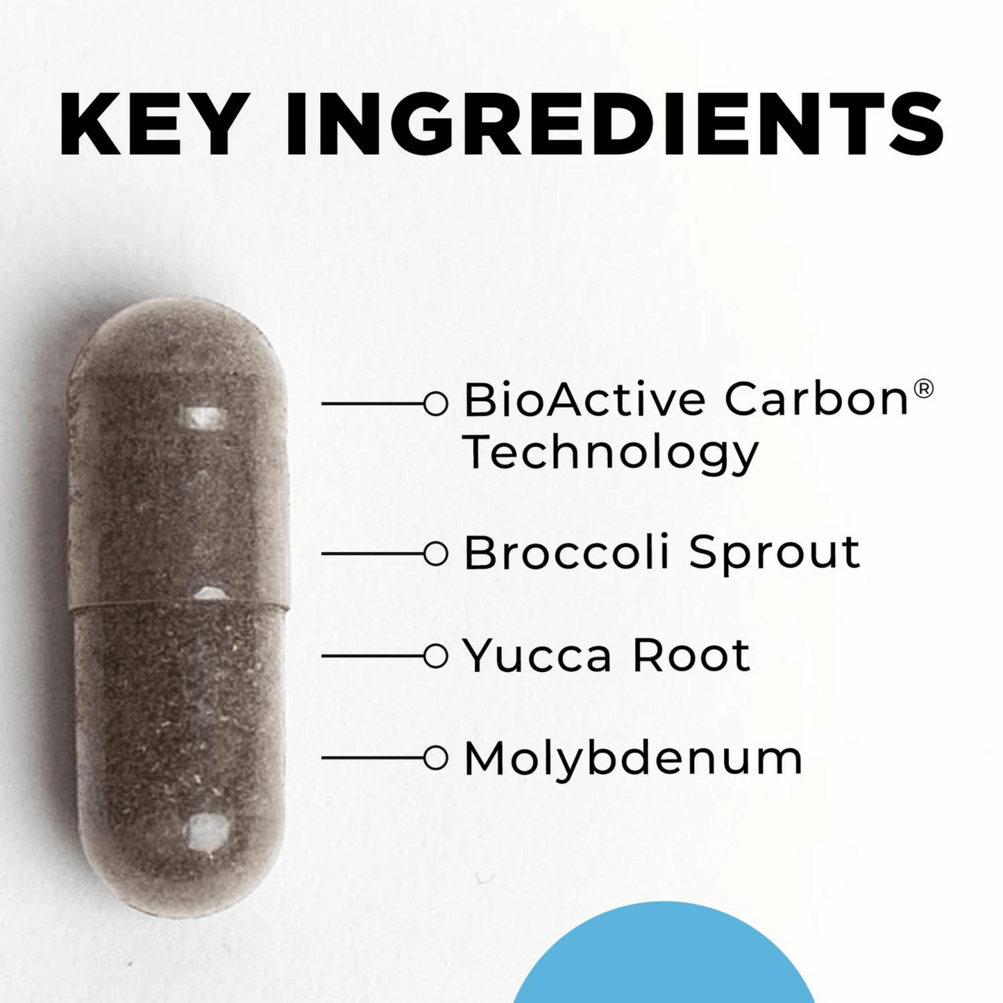 BioToxin Binder CellCore Ingredients