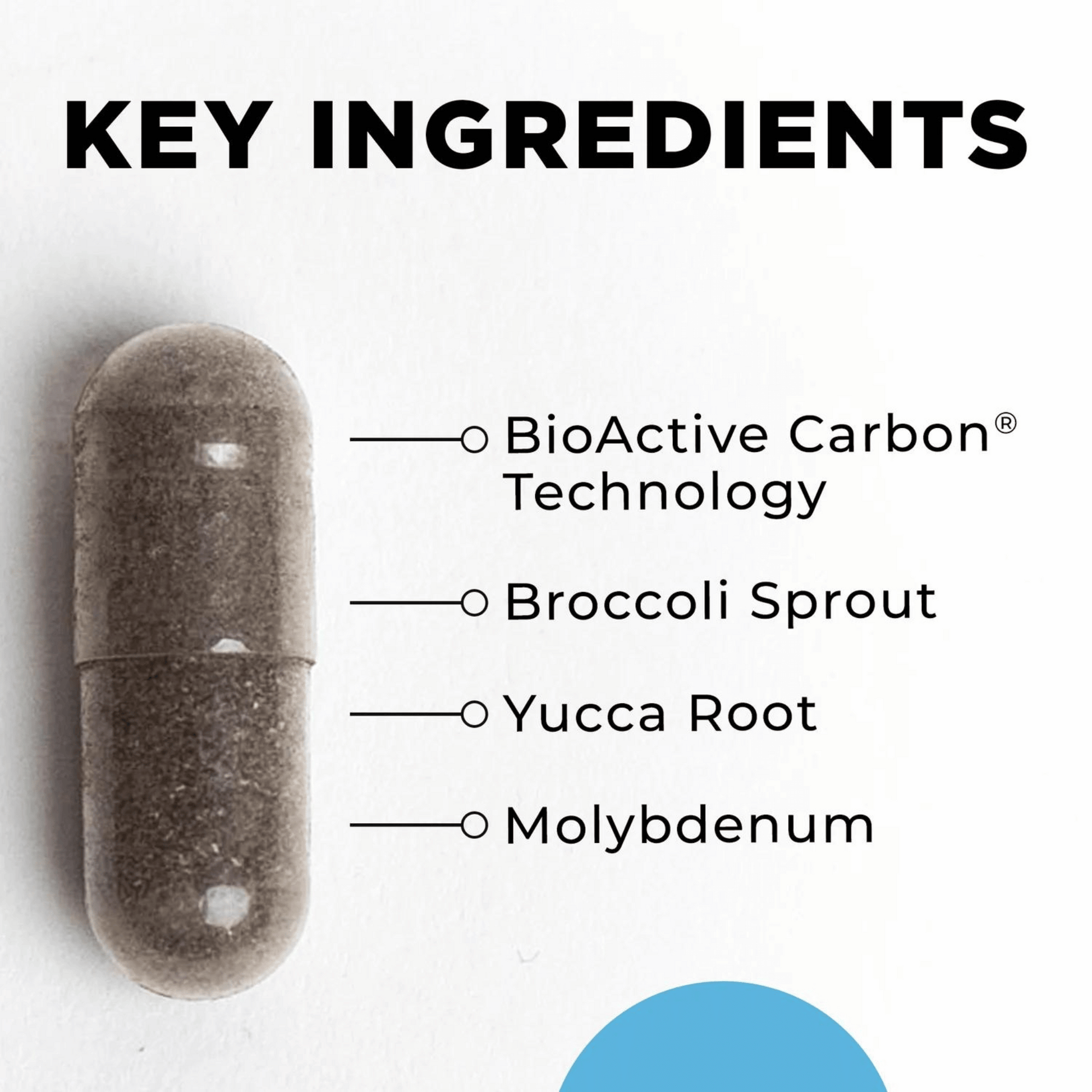 BioToxin Binder CellCore Ingredients