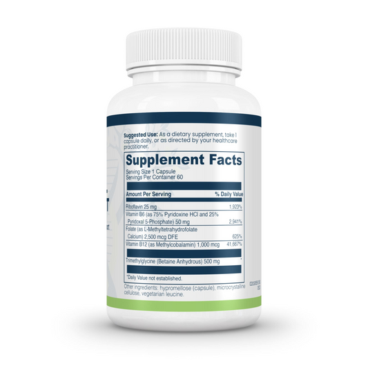 Evexias Methyl Support