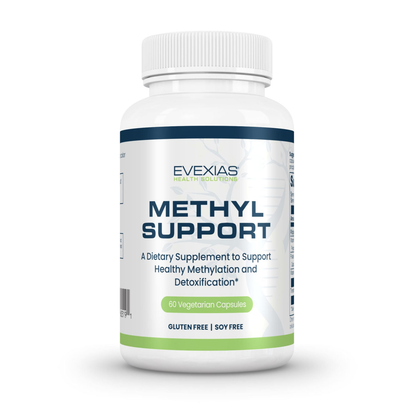Evexias Methyl Support