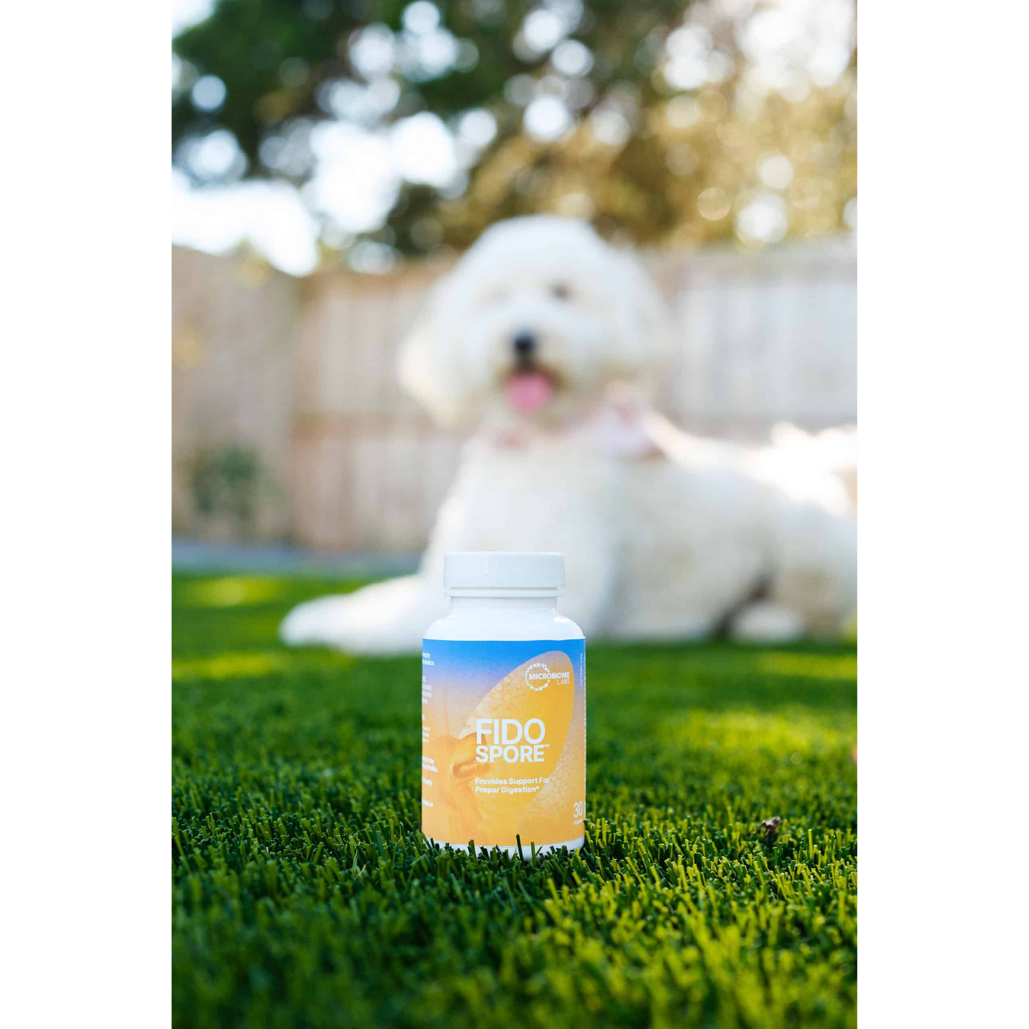 Fido Spore Microbiome Labs Image Ad