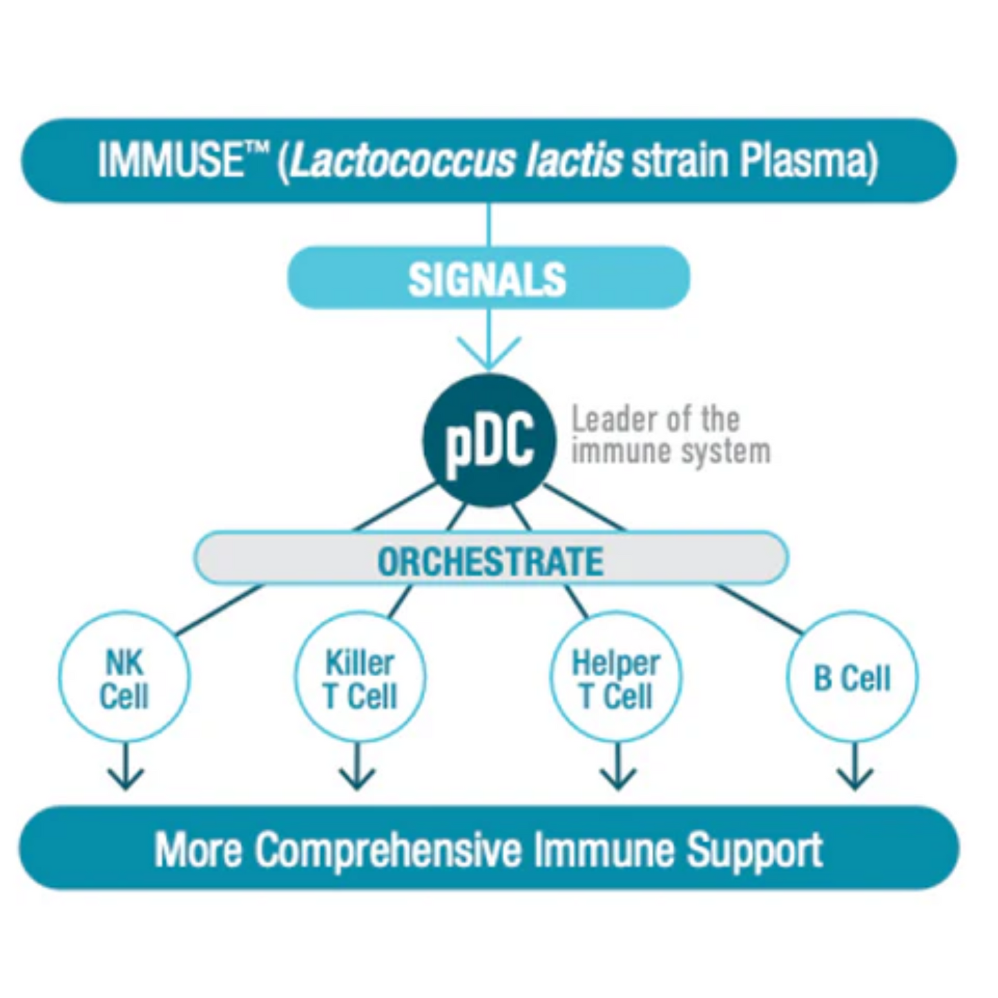 Microbiome gut health