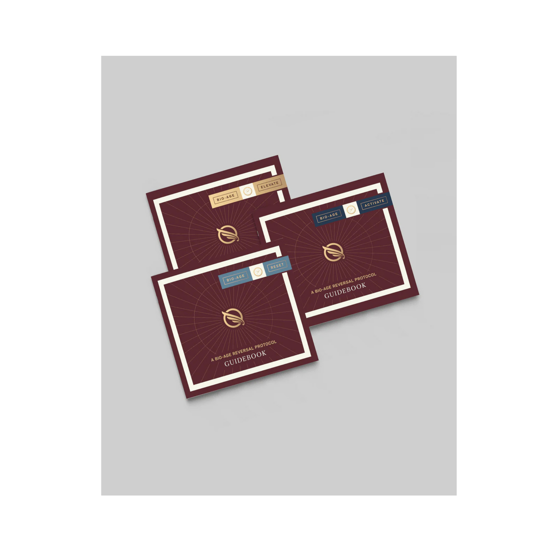 Quicksilver Scientific Bio-Age Reversal Set multi-product supplement system supporting detoxification, metabolism, mitochondrial health, and longevity