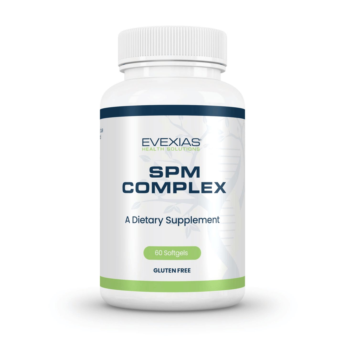 SPM Complex Evexias Front
