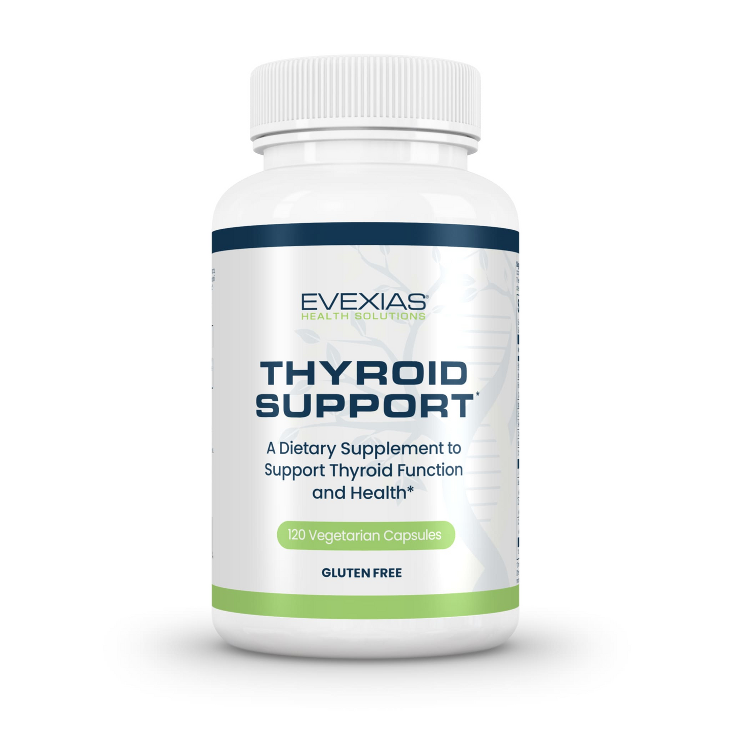 Evexias Thyroid Support dietary supplement bottle with 120 vegetarian capsules for thyroid health and function, gluten free.
