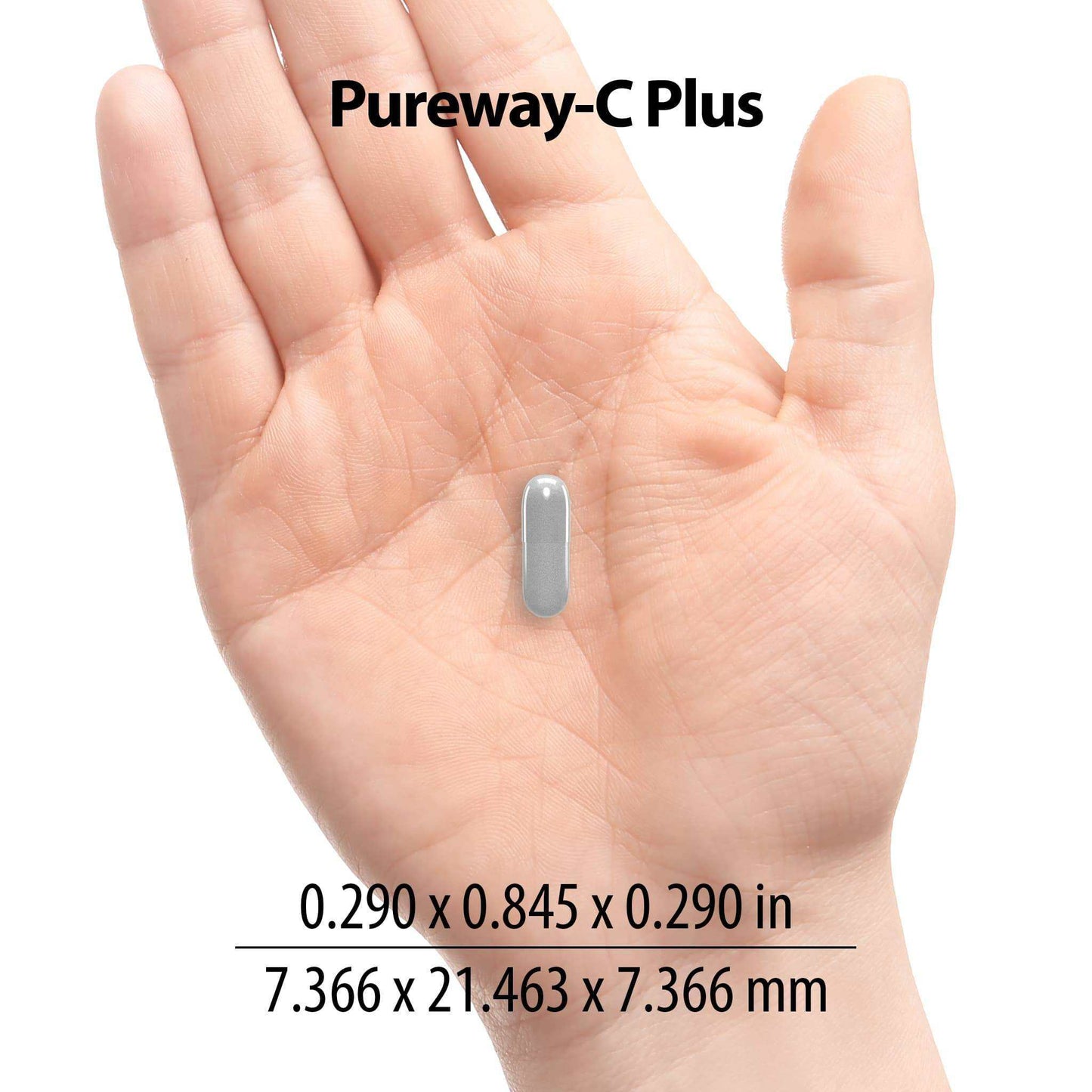 منشار كهربائي Pureway-C® Plus™