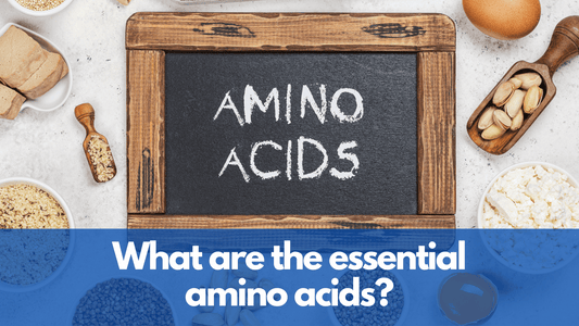 What are the essential amino acids