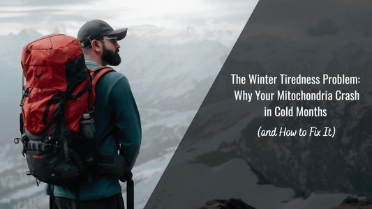 The Winter Tiredness Problem: Boost Energy & Fix Mitochondria
