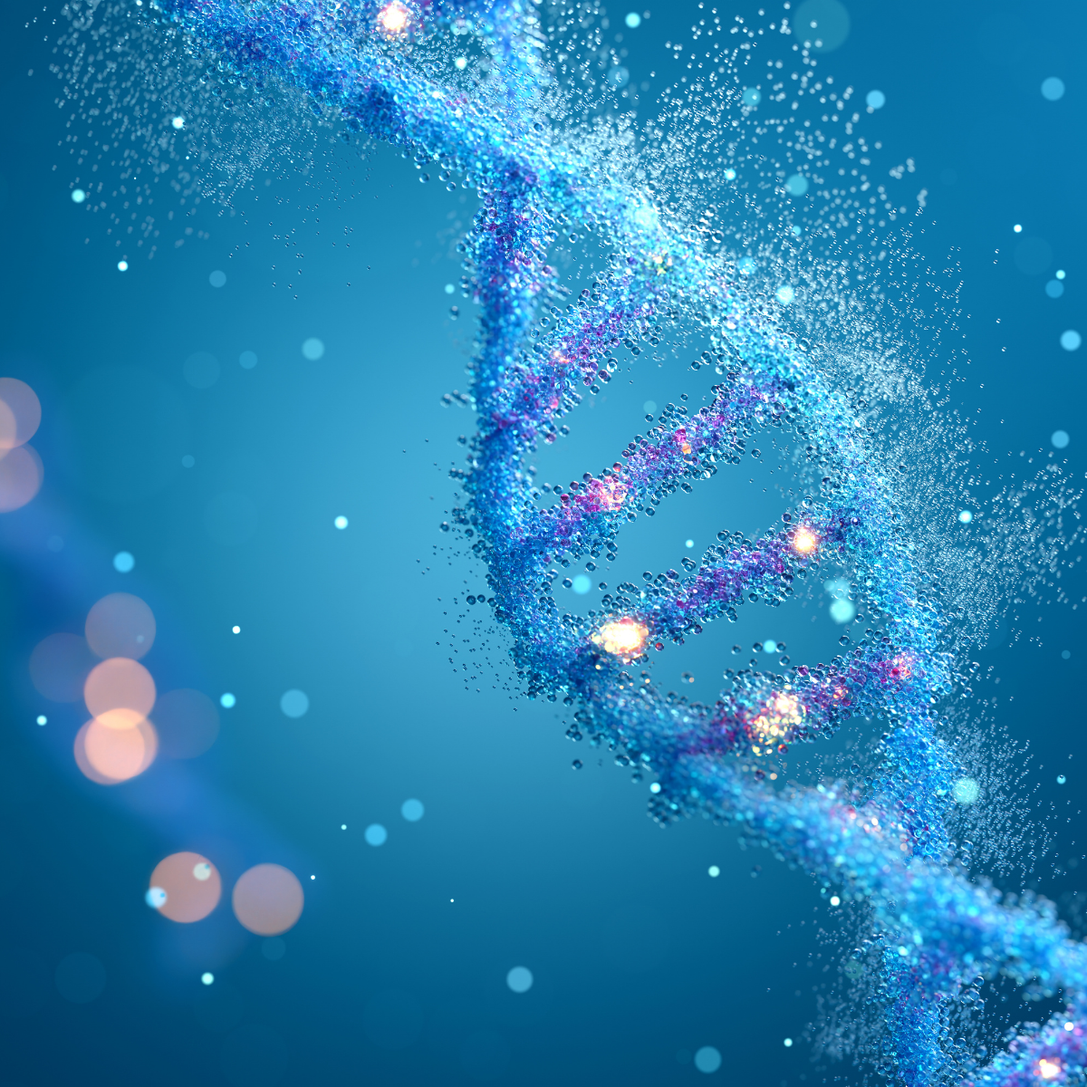 Longevity supplements supporting cellular health and healthy aging
