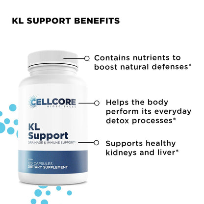 CellCore Foundational Protocol Step 1: Energy & Drainage