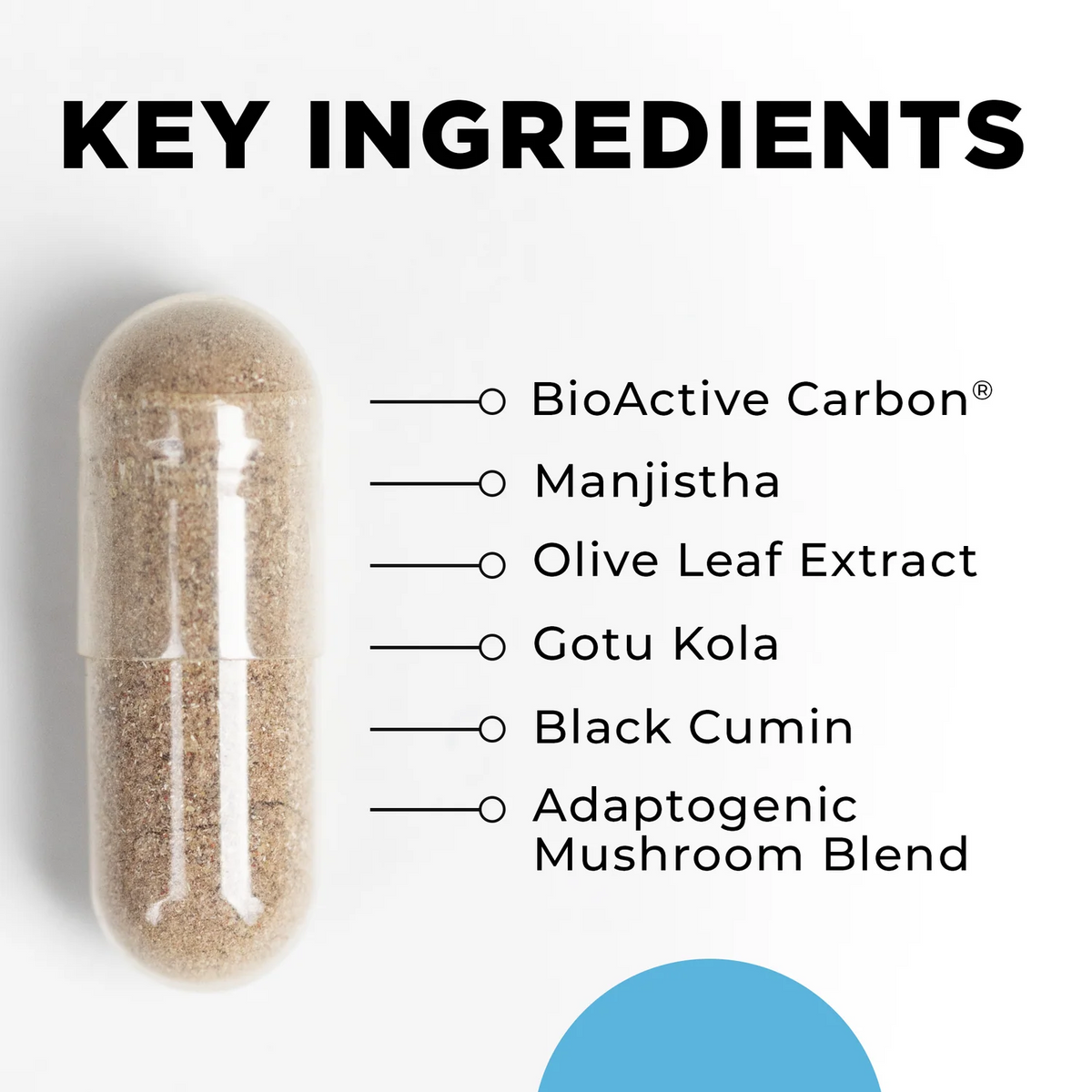 CellCore Drainage Activator Key Ingredients