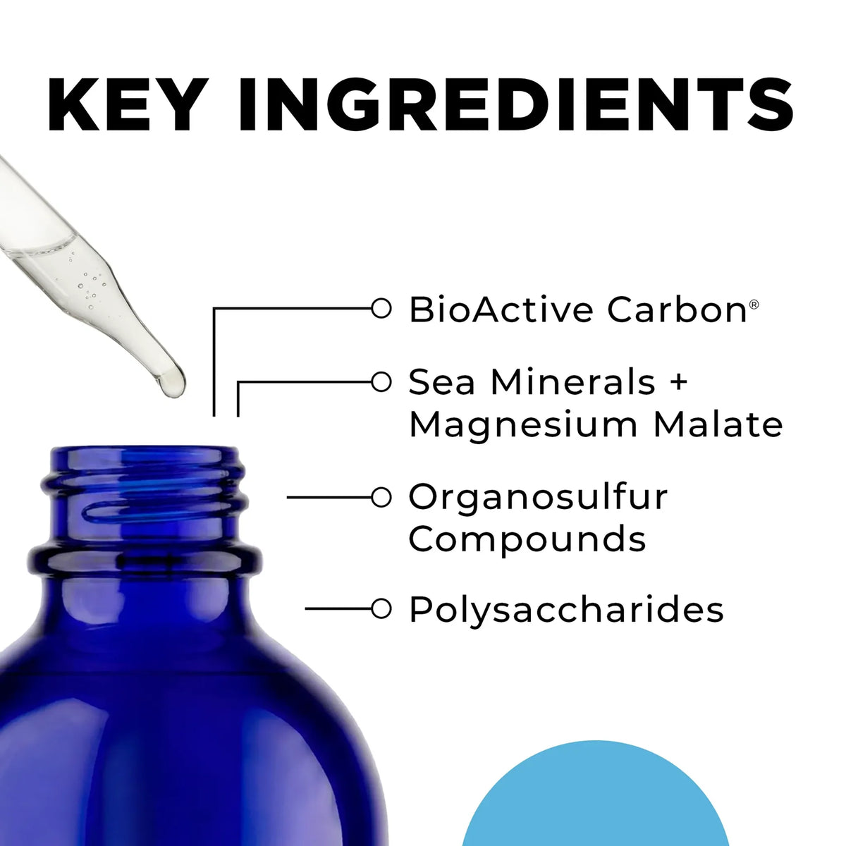 CellCore HydrOxygen Key Ingredients
