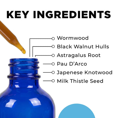 CellCore IS-BAB Key Ingredients