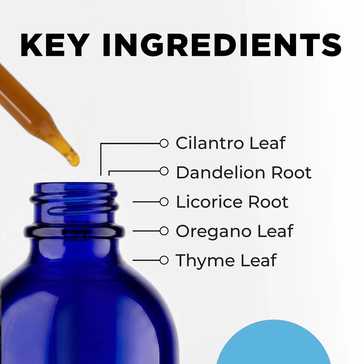 CellCore IS-BOOST Key Ingredients