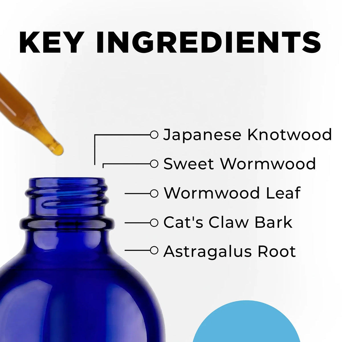 CellCore IS-BORR Ingredients