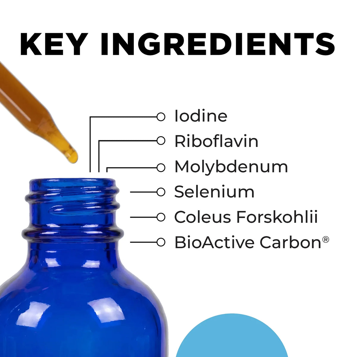 CellCore Metabolic Activator Key Ingredients