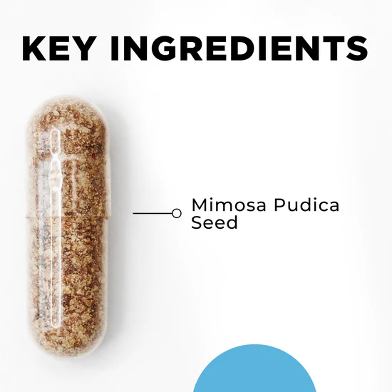 CellCore Para 1 Key Ingredients