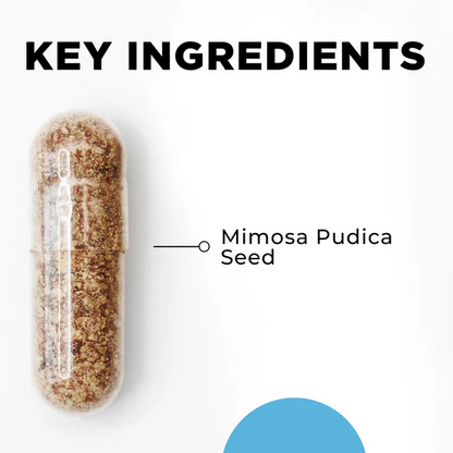 CellCore Para 2 Key Ingredients