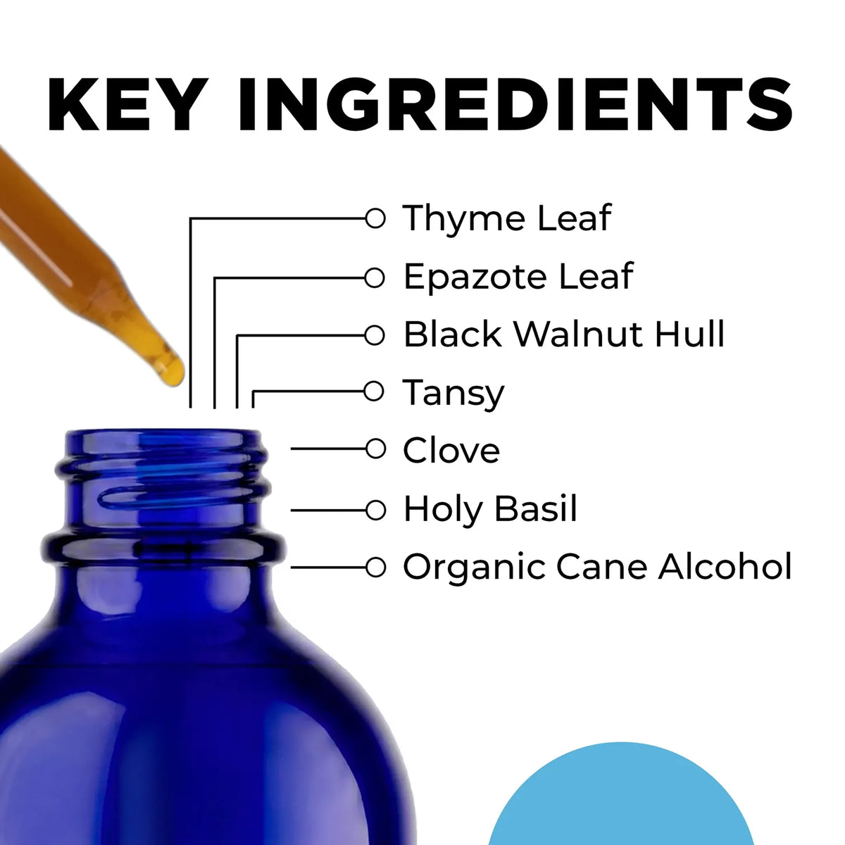 CellCore Para 3 Key Ingredients