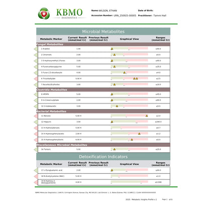 KBMO Diagnostics MIP Test example patient report showing the microbial inflammation protein levels across various bacterial markers to indicate gut barrier integrity and systemic immune response