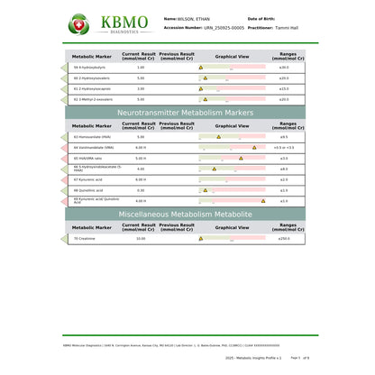 KBMO Diagnostics MIP Test example patient report showing the microbial inflammation protein levels across various bacterial markers to indicate gut barrier integrity and systemic immune response