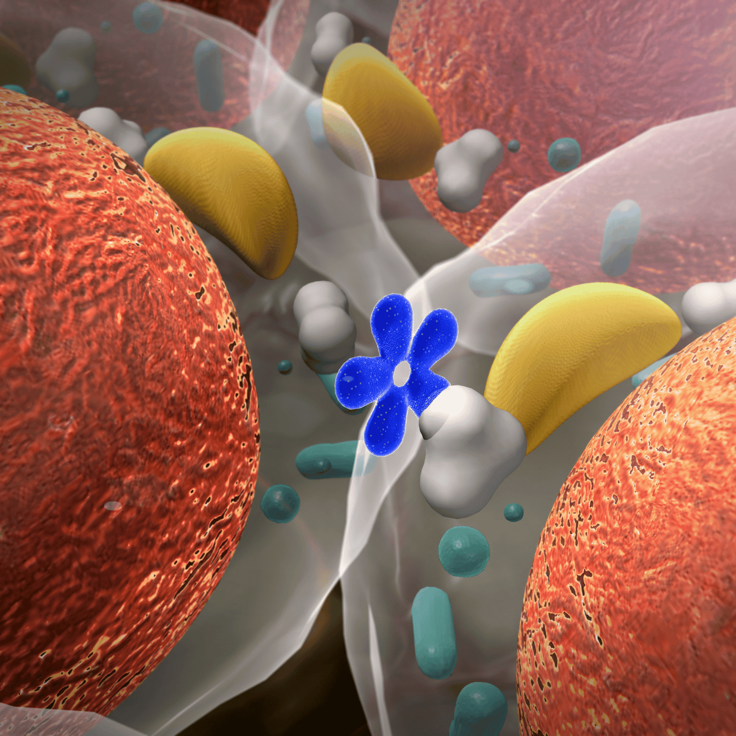 Pregnenolone hormone