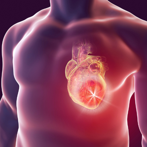 Sytrinol supplement for cardiovascular health