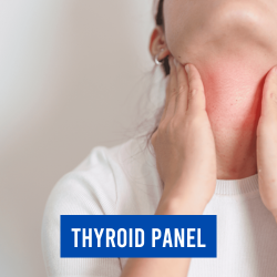 Thyroid lab panel