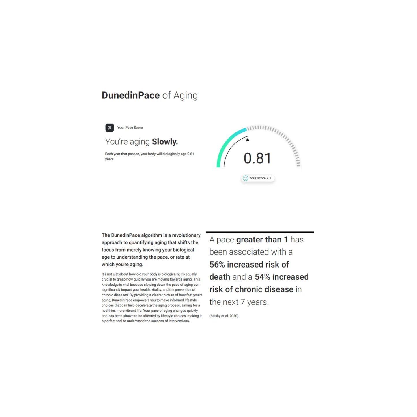 Graphic showing DenedinPACE of aging