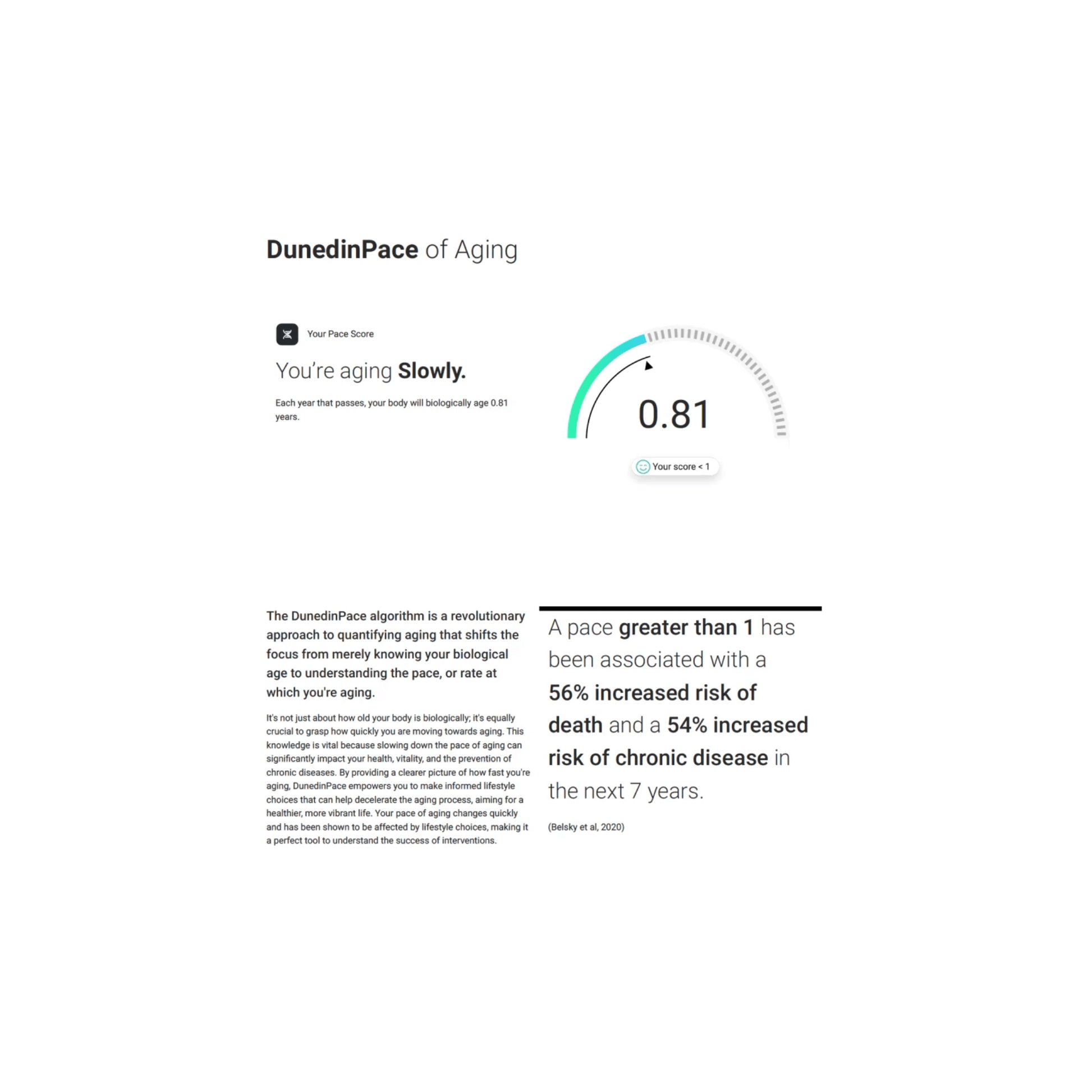 Graphic showing DenedinPACE of aging